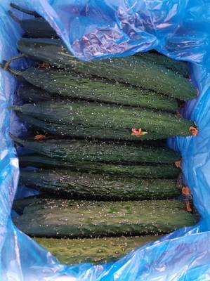 東莞蔬菜批發(fā) 高效配送服務(wù)，新鮮直達(dá)工廠食堂