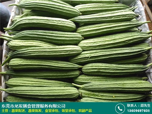 深圳工地蔬菜批發服務工廠直招 龍發膳食，新鮮蔬菜直供，助力高效餐飲