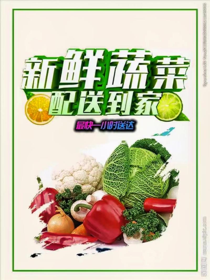 專業(yè)蔬菜批發(fā)配送服務(wù) 為工廠、學(xué)校、醫(yī)院食堂提供新鮮保障