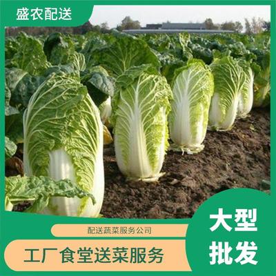 東莞蔬菜配送服務(wù) 打通新鮮蔬菜批發(fā)直供的“最后一公里”
