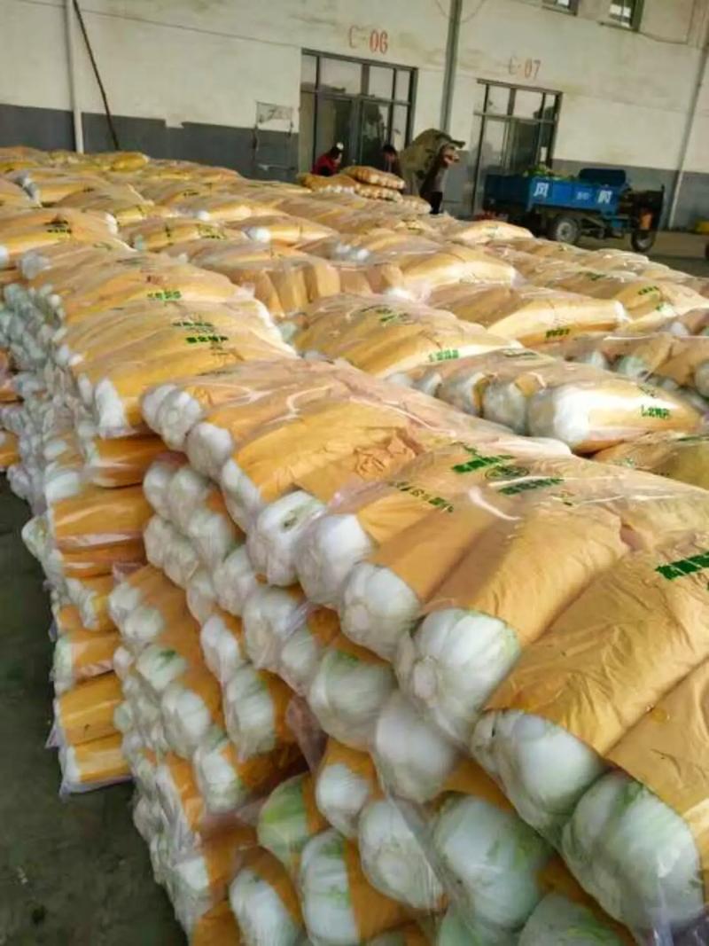 專業蔬菜批發配送服務 為工廠、學校、醫院食堂提供新鮮保障