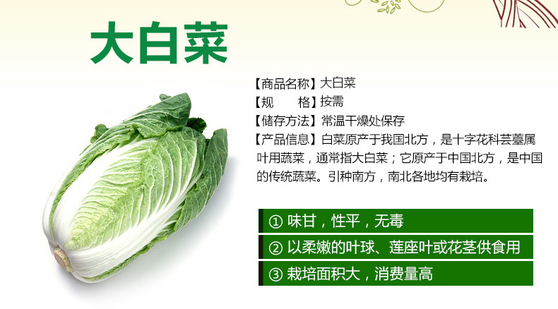 怡佳美果蔬 綠色健康，批發無憂——無公害大白菜的優選之道